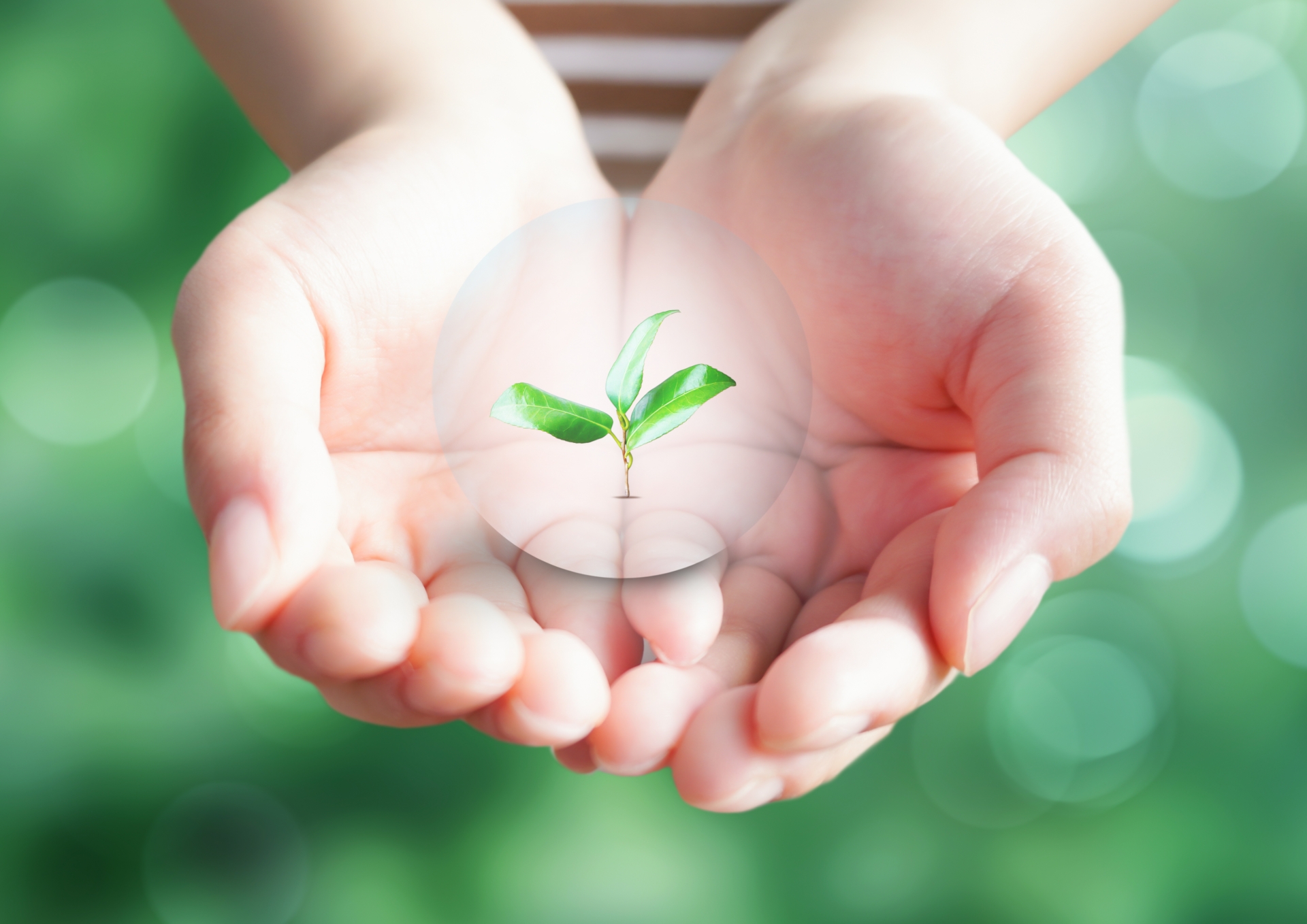 未来の快適さを織り交ぜた、最適な結線